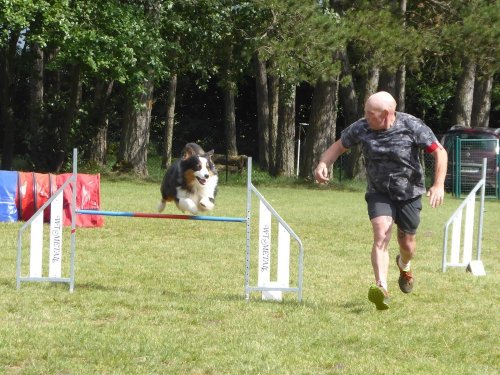 Concours d'agility, Daix, 17 juin 2018