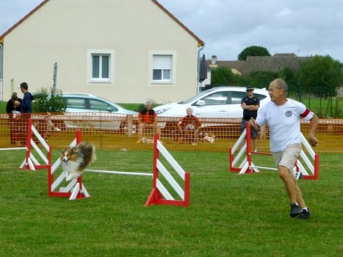 Concours d'agility, Sainte Marie la Blanche, 23 juillet 2017