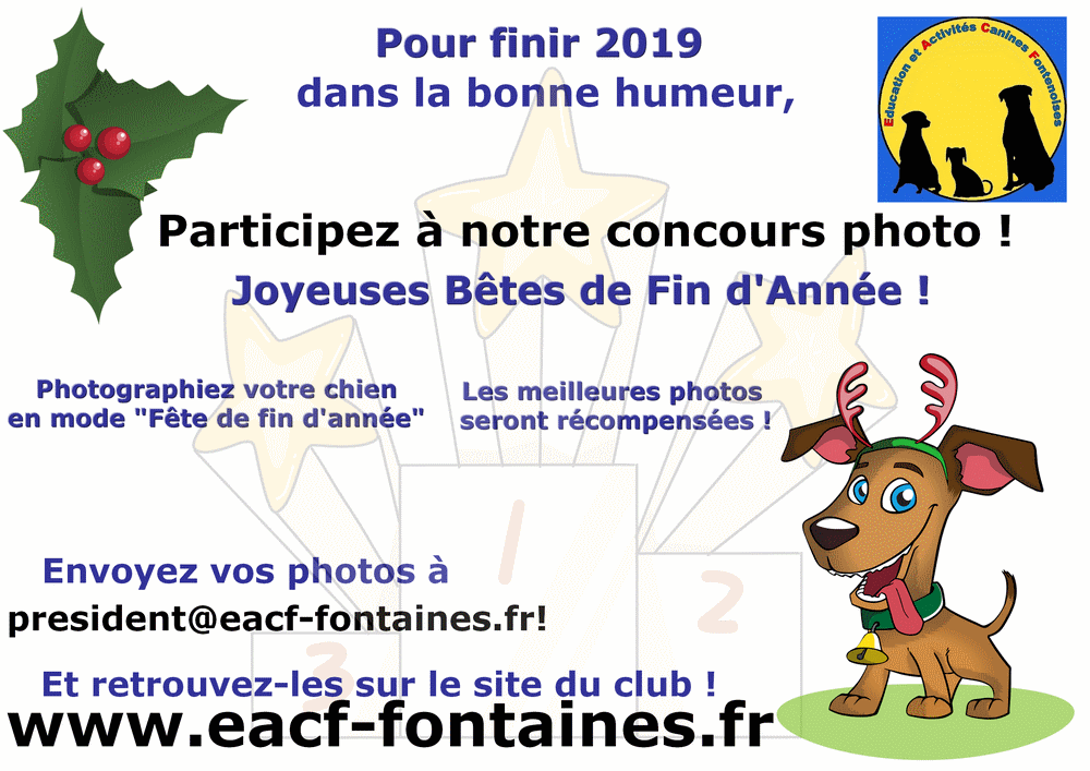 concoursphotos2019affiche