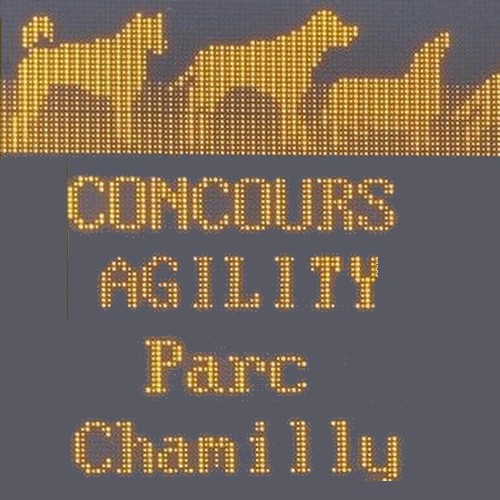 logoconcoursagility